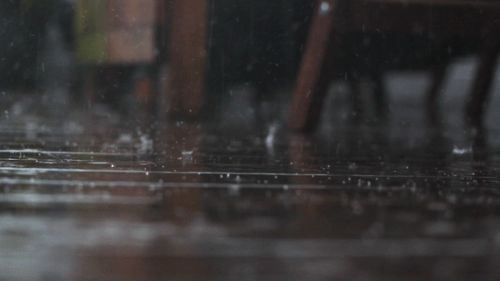 Rain