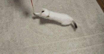 Small сatron сollider