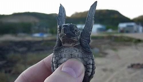 I believe I can fly!
