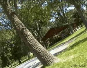 Ninja fail