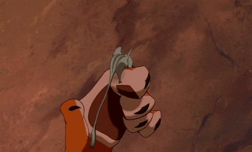 Mouse in tiger claws