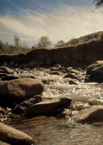 The river