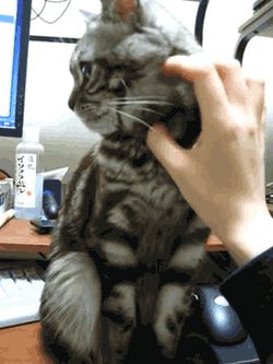 I can't forgive you