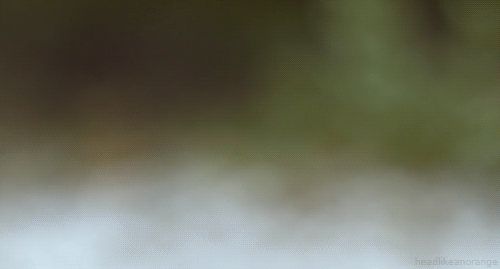 Heron