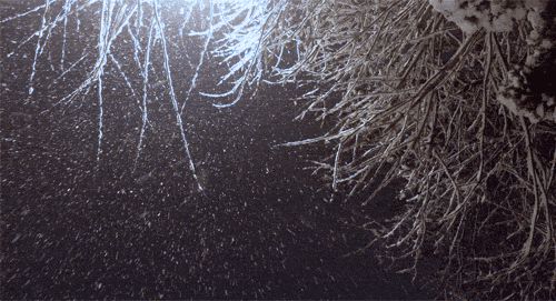 Falling snow