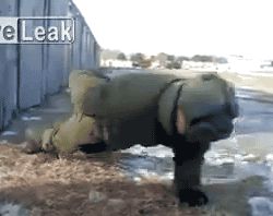 No hands push ups