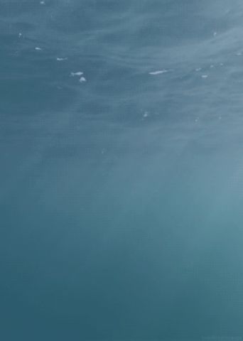 Indian ocean