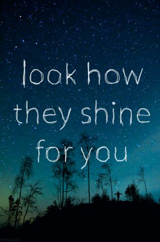 They shine for you