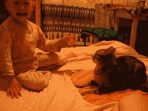 Perfect reaction