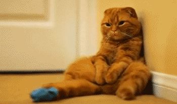 Saturday with nothing to do