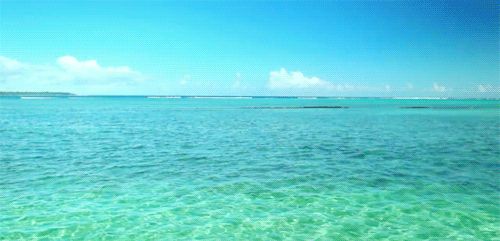 Beautiful summer