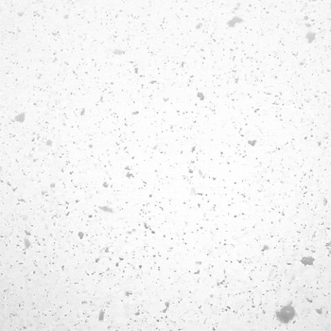 Snowflakes