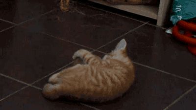 Jumping like a crazy