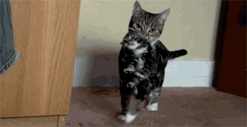 Caring mother
