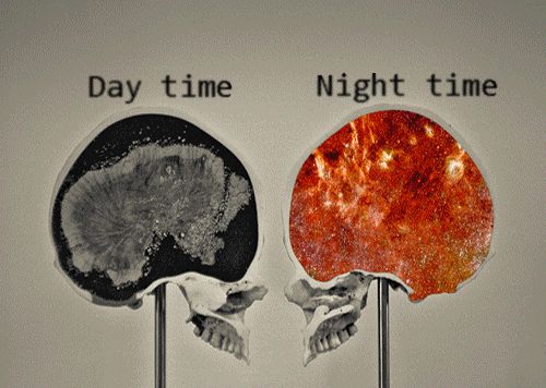 Brain at day and night