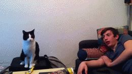 Ok, just leave me alone