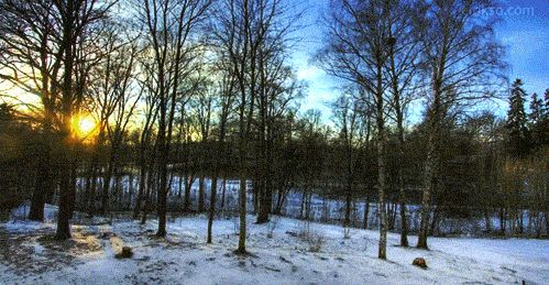4 seasons