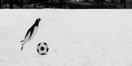 Soccer in Antarctica