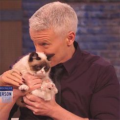 Grumpy Cat on Anderson Cooper show