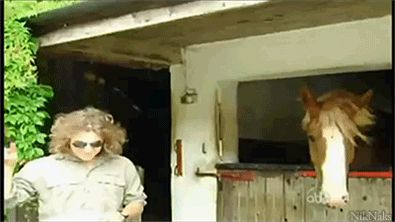 Metalhead horse