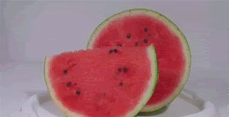 Timelapse of a watermelon rotting