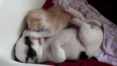 Cutest friendship ever