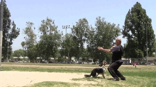 Perfect fetch