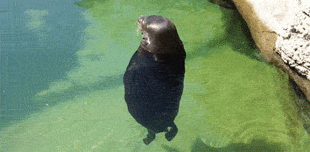 Zen