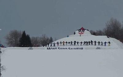 Longest backflip chain