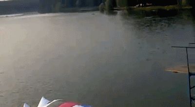 Girl launched to sky