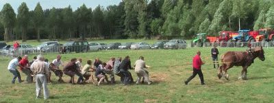 1 horse vs 20 man