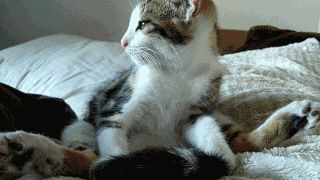 Sweet stretching before the sleep