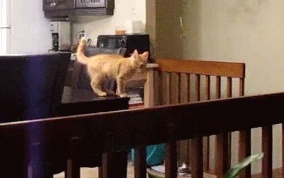 An awkward fail