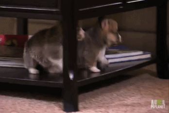 Just one small step