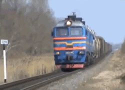 Extreme dog