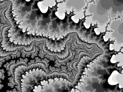 Fractal in motion