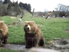 Hello from Russia!