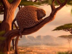Rolling Safari: Sleeping beauty