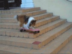 I’m human and can’t even do this