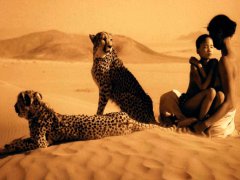 The serenity of the sands