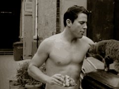 Pizza, hot men and cat