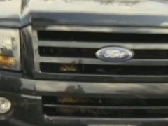 Owl gets stuck in car grill