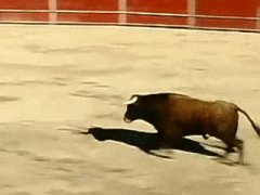 Jumping over the bull