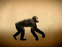 Evolution and dissolution