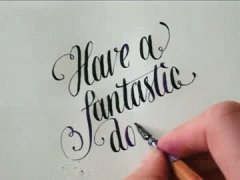 Have a fantastic day!