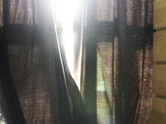 Dust swimming in the afternoon sun