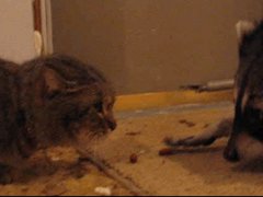 Careful movement