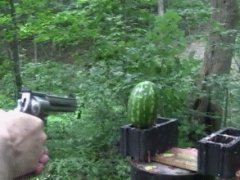 500 Magnum vs watermelon
