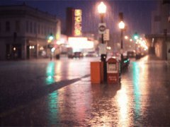 Rain in the city
