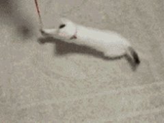 Small сatron сollider